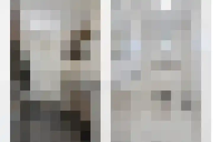 Tussen de Bruggen 14 Vlodrop thumbnail 26