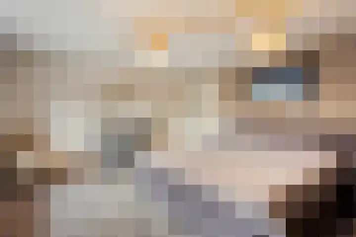 Tussen de Bruggen 14 Vlodrop thumbnail 28