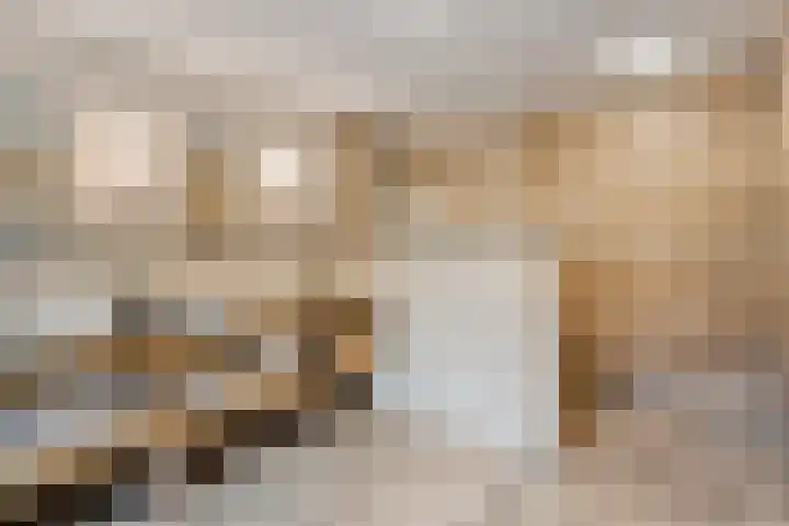 Tussen de Bruggen 14 Vlodrop thumbnail 30