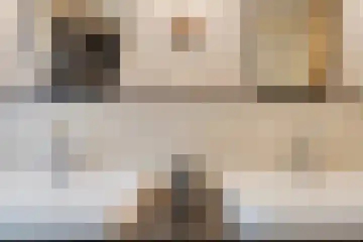Tussen de Bruggen 14 Vlodrop thumbnail 31