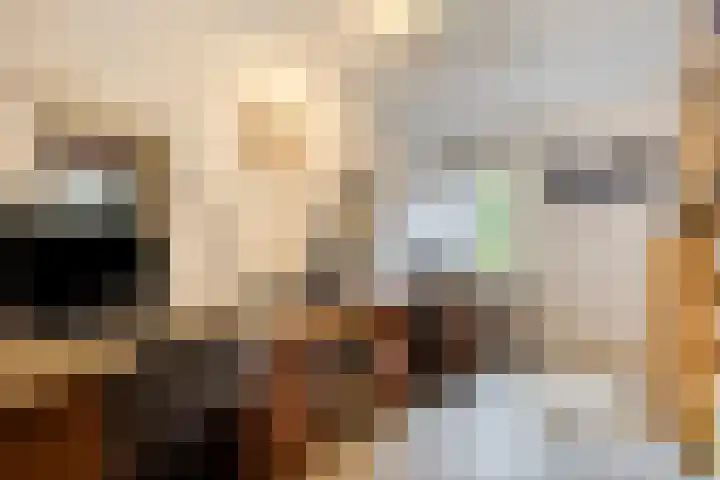 Tussen de Bruggen 14 Vlodrop thumbnail 33