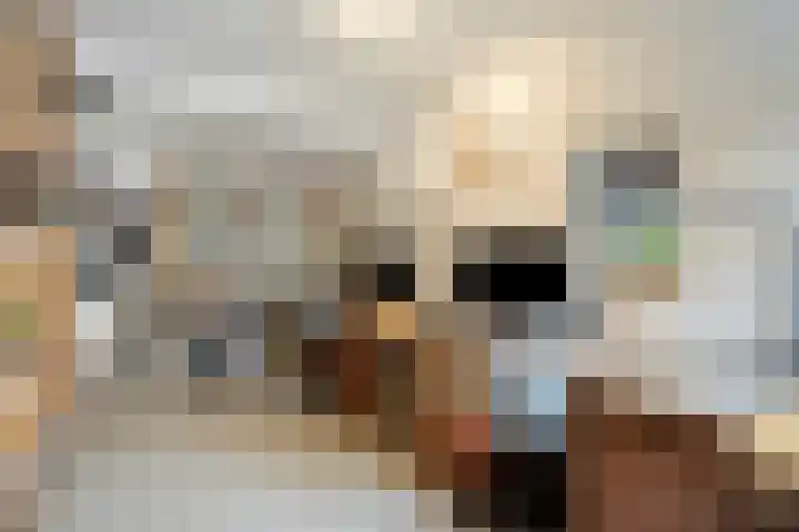 Tussen de Bruggen 14 Vlodrop thumbnail 34