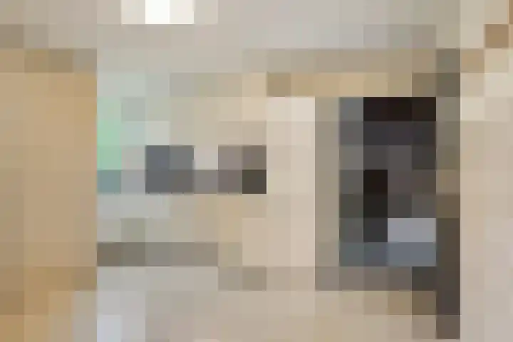 Tussen de Bruggen 14 Vlodrop thumbnail 36