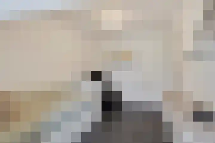 Tussen de Bruggen 14 Vlodrop thumbnail 38