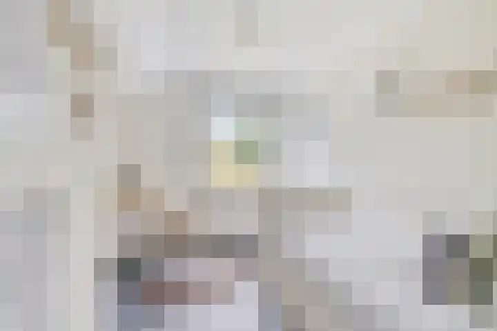 Tussen de Bruggen 14 Vlodrop thumbnail 39