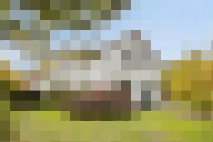 Tussen de Bruggen 14 Vlodrop thumbnail 4