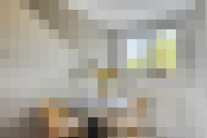 Tussen de Bruggen 14 Vlodrop thumbnail 47