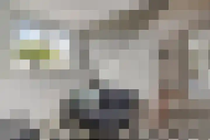Tussen de Bruggen 14 Vlodrop thumbnail 48
