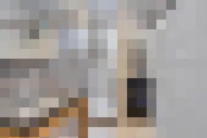 Tussen de Bruggen 14 Vlodrop thumbnail 49