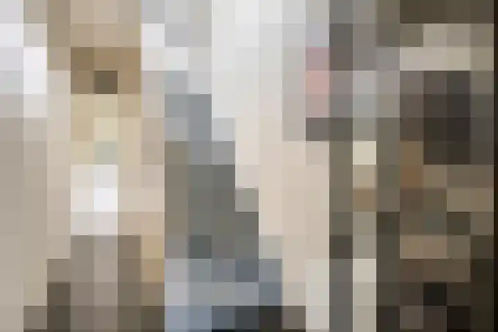 Tussen de Bruggen 14 Vlodrop thumbnail 5