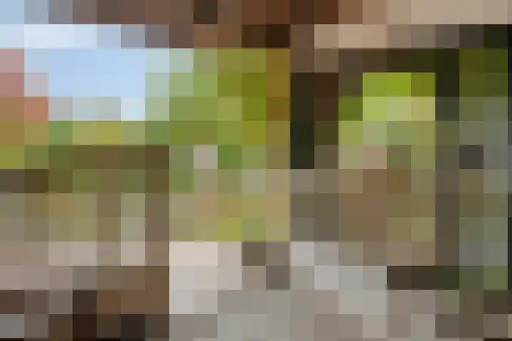 Tussen de Bruggen 14 Vlodrop thumbnail 51