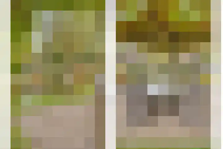 Tussen de Bruggen 14 Vlodrop thumbnail 52