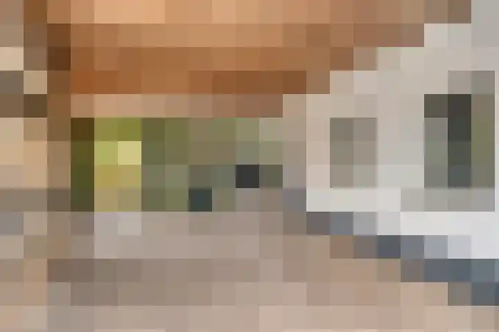 Tussen de Bruggen 14 Vlodrop thumbnail 53