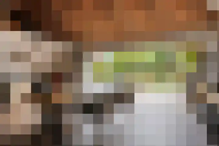 Tussen de Bruggen 14 Vlodrop thumbnail 55