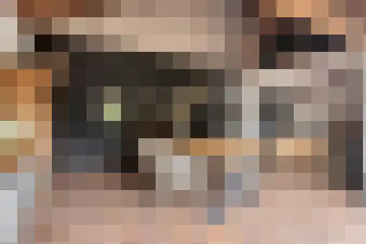 Tussen de Bruggen 14 Vlodrop thumbnail 56