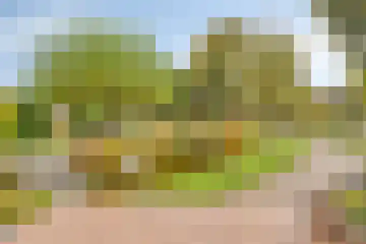 Tussen de Bruggen 14 Vlodrop thumbnail 57