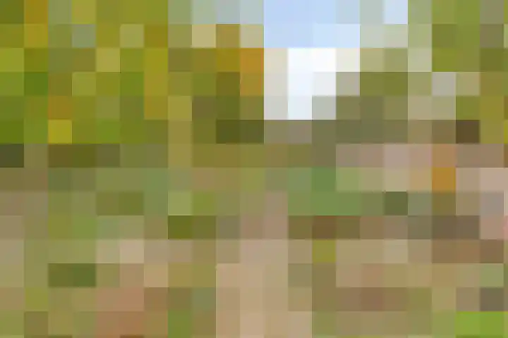 Tussen de Bruggen 14 Vlodrop thumbnail 59
