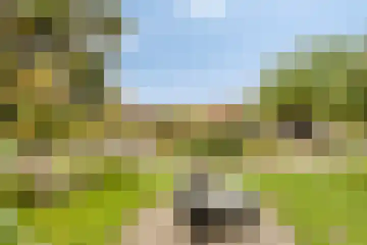 Tussen de Bruggen 14 Vlodrop thumbnail 61