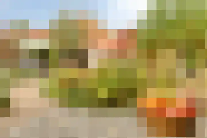 Tussen de Bruggen 14 Vlodrop thumbnail 62