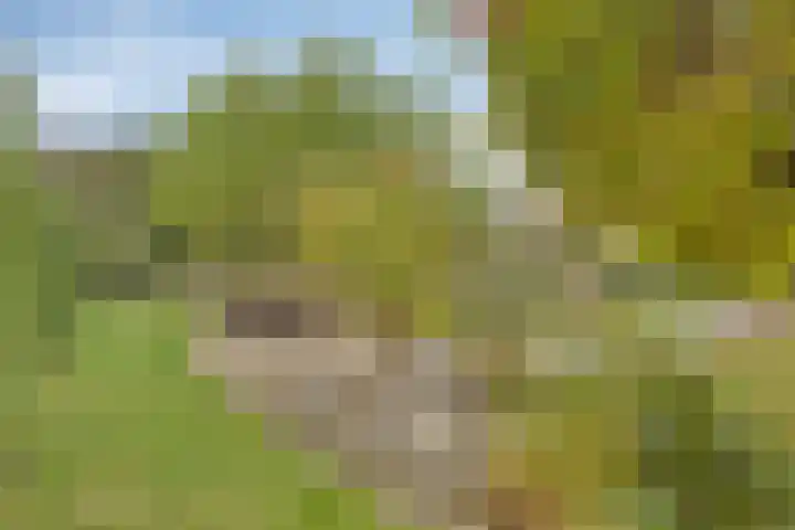 Tussen de Bruggen 14 Vlodrop thumbnail 63