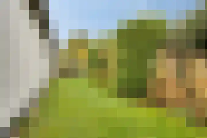Tussen de Bruggen 14 Vlodrop thumbnail 64