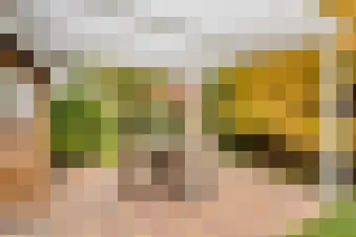 Tussen de Bruggen 14 Vlodrop thumbnail 65
