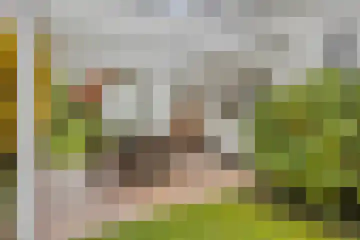 Tussen de Bruggen 14 Vlodrop thumbnail 66