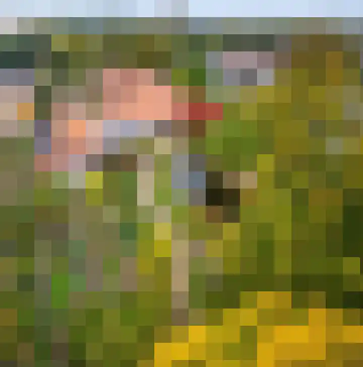 Tussen de Bruggen 14 Vlodrop thumbnail 71
