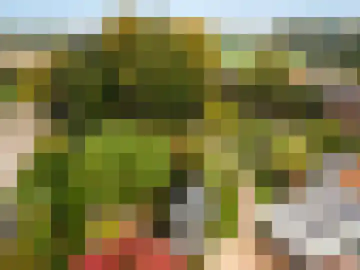 Tussen de Bruggen 14 Vlodrop thumbnail 72