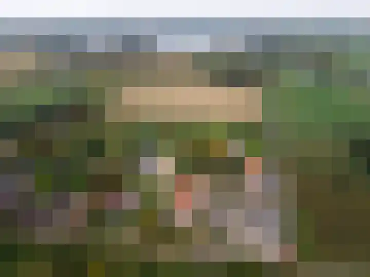 Tussen de Bruggen 14 Vlodrop thumbnail 73