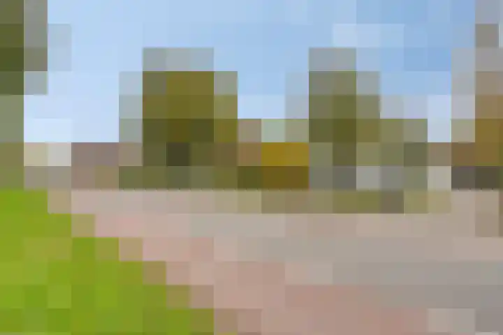 Tussen de Bruggen 14 Vlodrop thumbnail 75