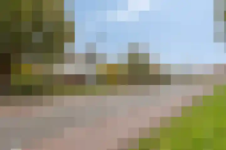 Tussen de Bruggen 14 Vlodrop thumbnail 76