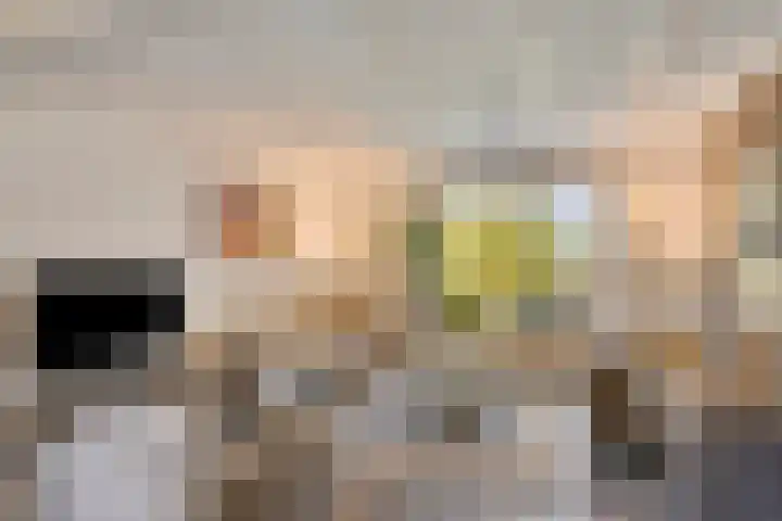 Tussen de Bruggen 14 Vlodrop thumbnail 9