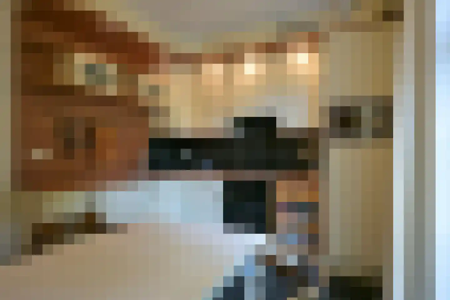Tussen de Bruggen 6 Meerssen thumbnail 12
