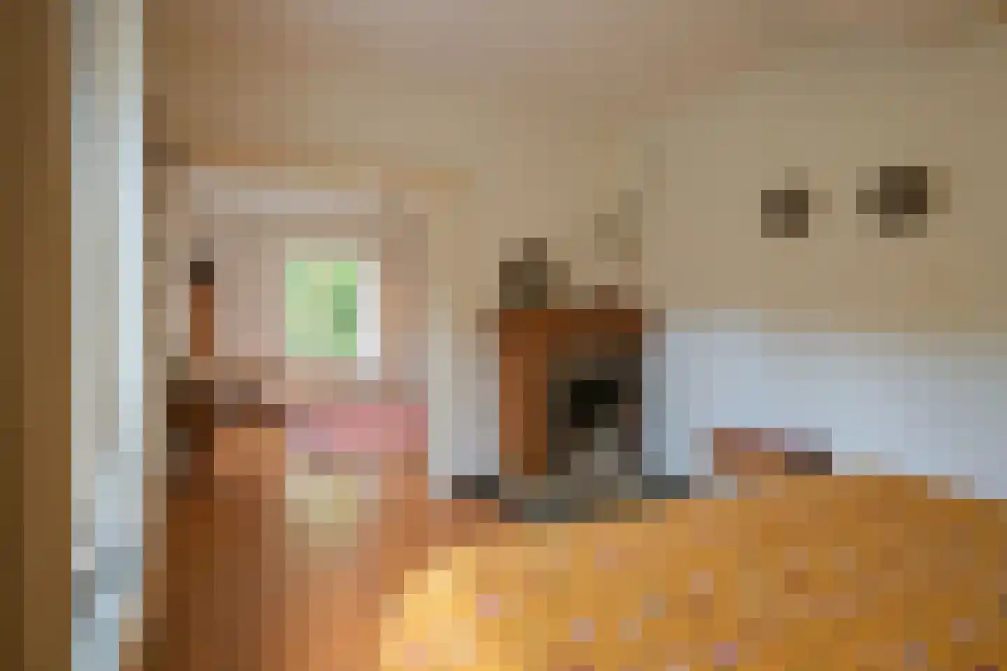 Tussen de Bruggen 6 Meerssen thumbnail 17