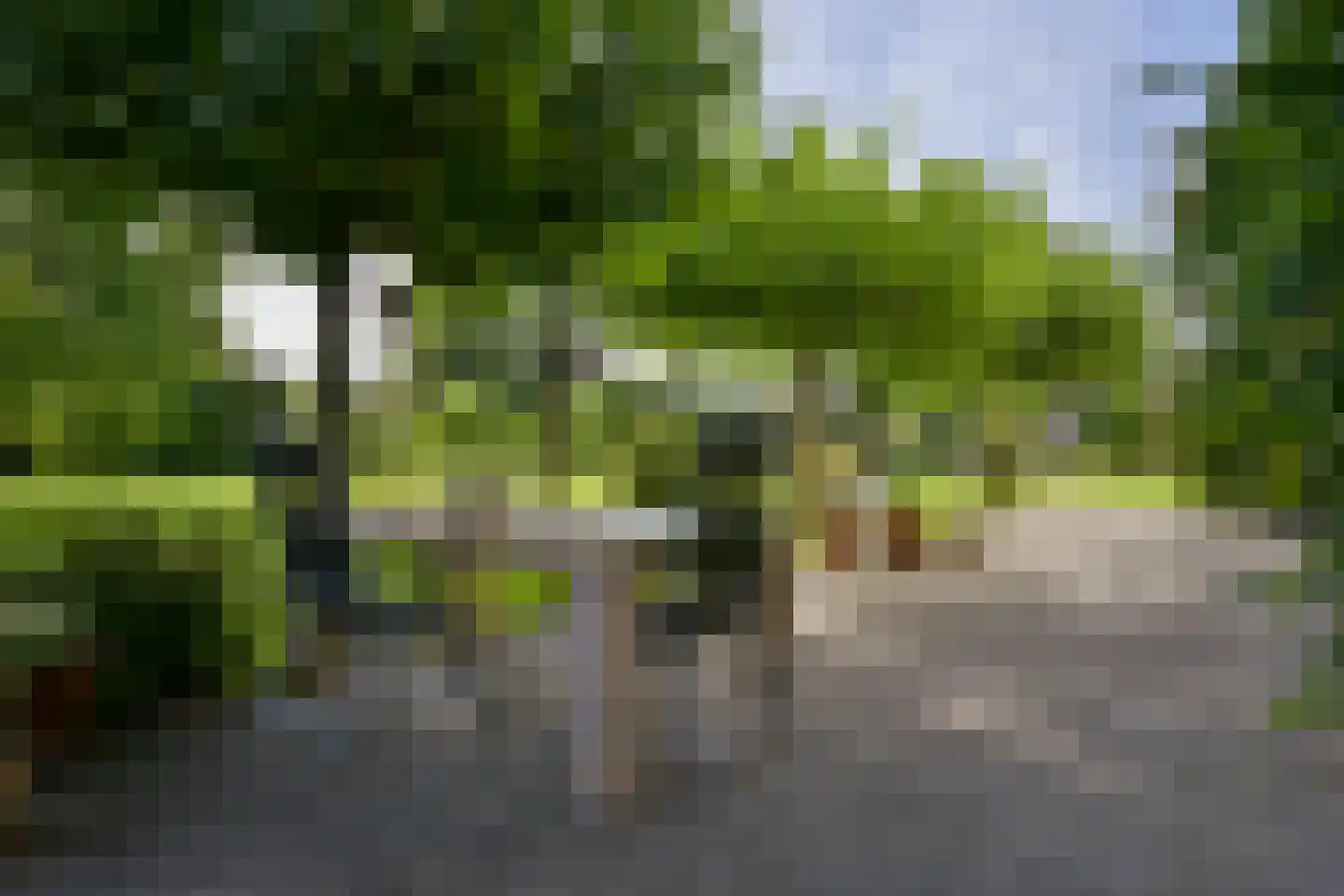 Tussen de Bruggen 6 Meerssen thumbnail 32