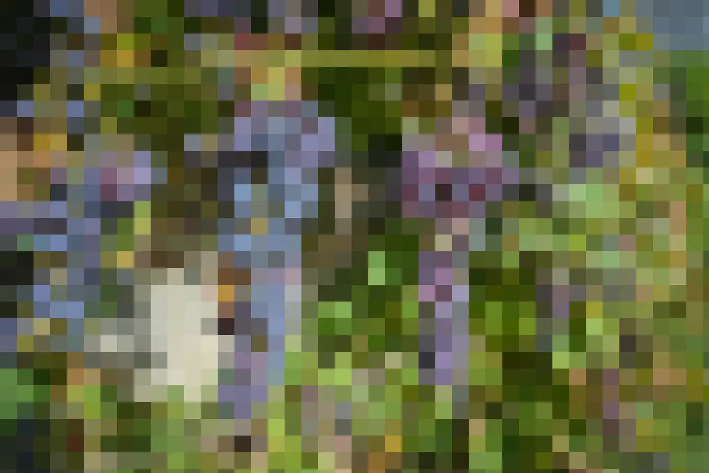 Tussen de Bruggen 6 Meerssen thumbnail 34