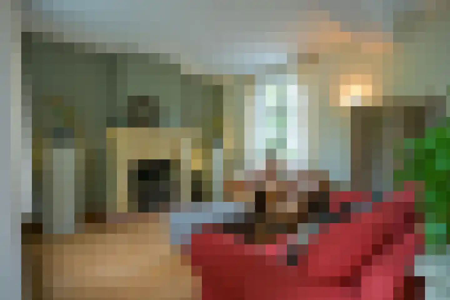 Tussen de Bruggen 6 Meerssen thumbnail 9