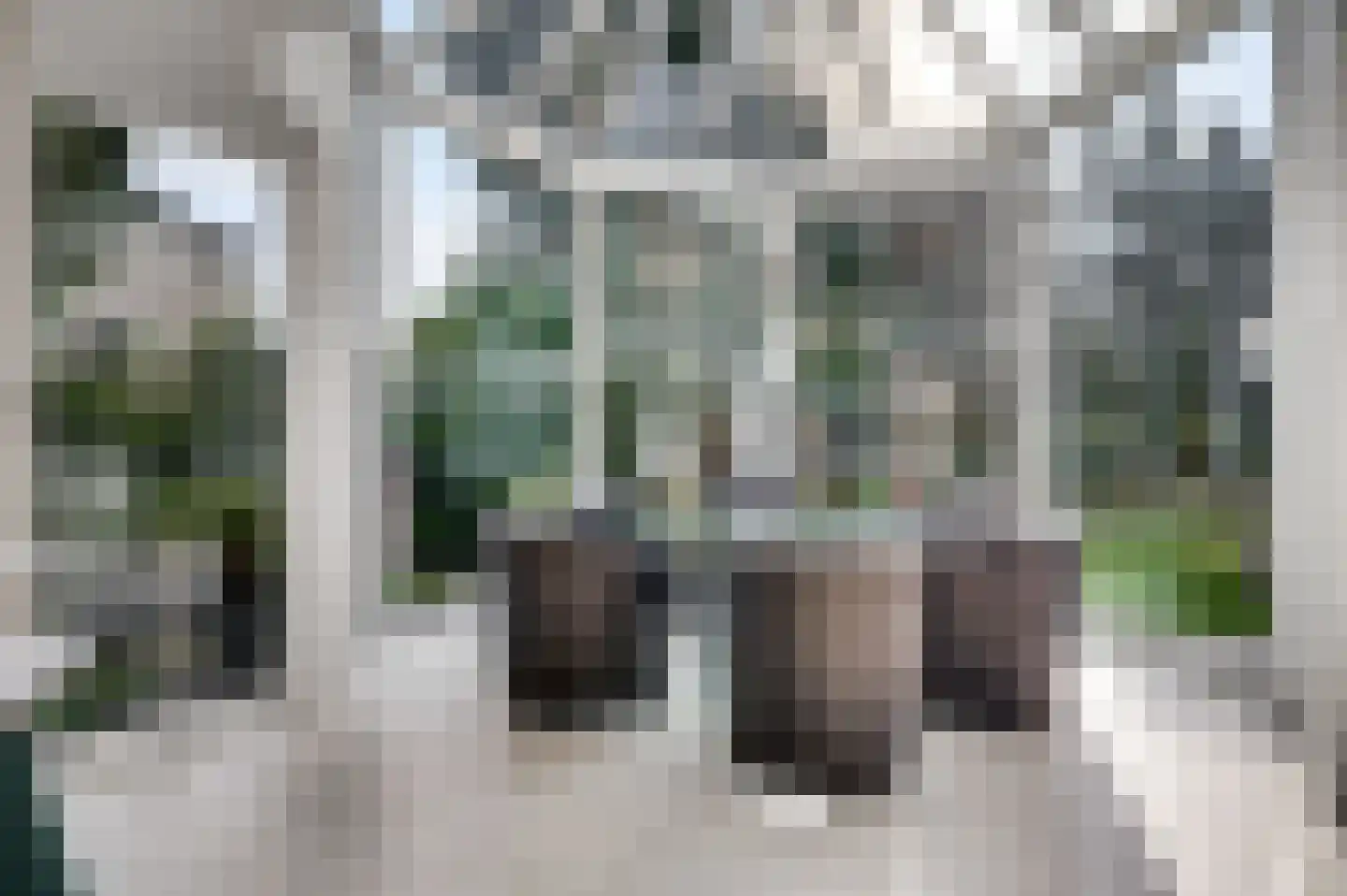 Tussen de Bruggen 85 Meerssen thumbnail 11