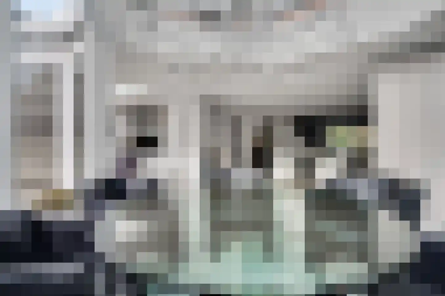 Tussen de Bruggen 85 Meerssen thumbnail 12