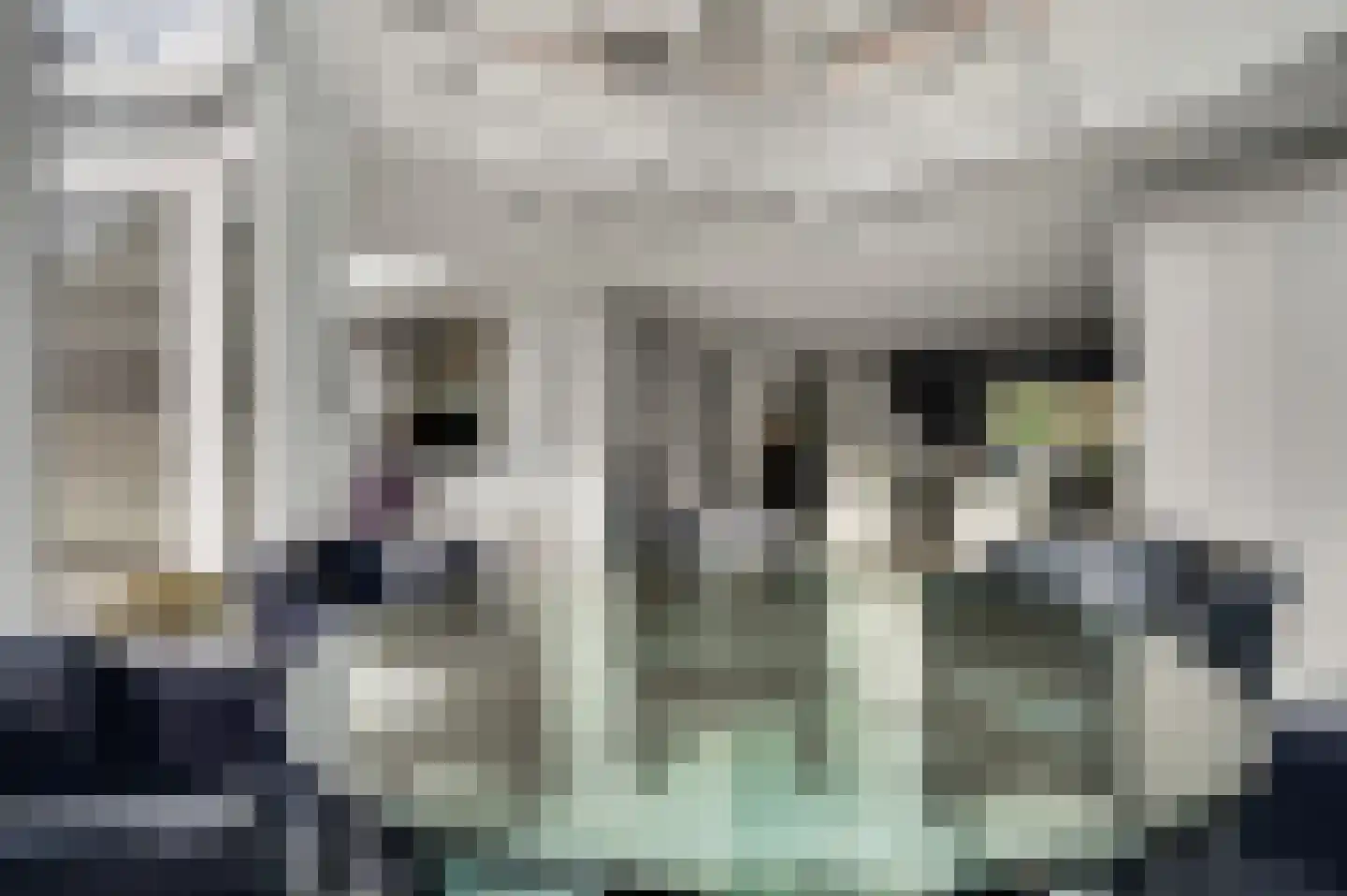 Tussen de Bruggen 85 Meerssen thumbnail 13