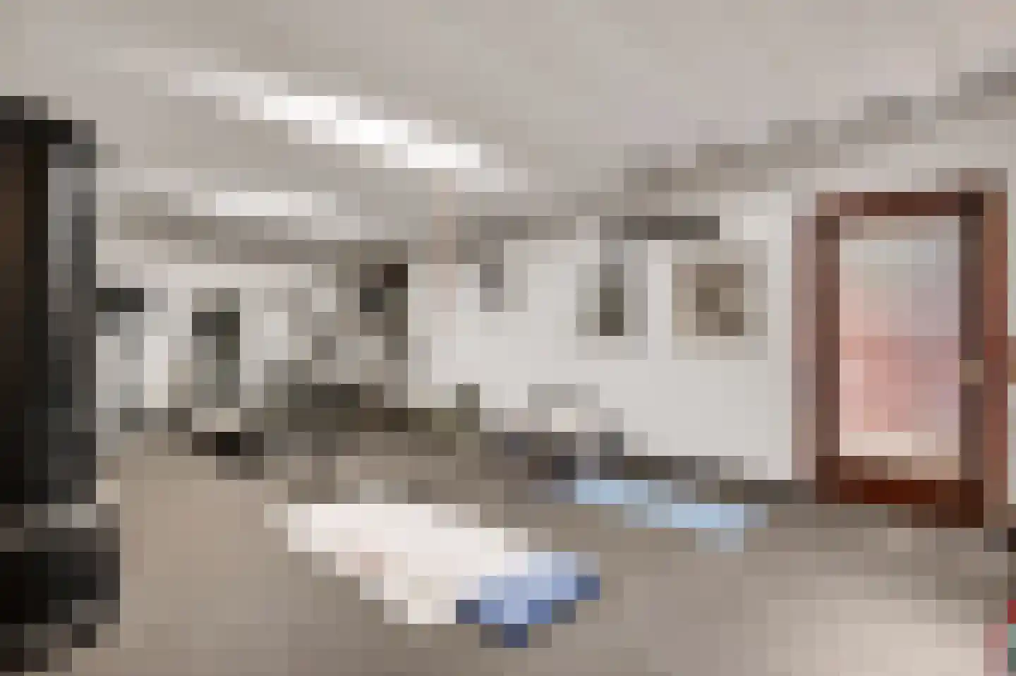 Tussen de Bruggen 85 Meerssen thumbnail 17