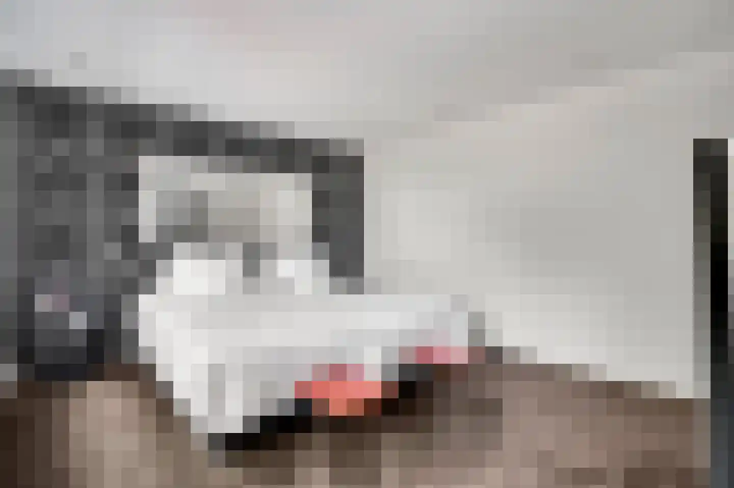 Tussen de Bruggen 85 Meerssen thumbnail 25