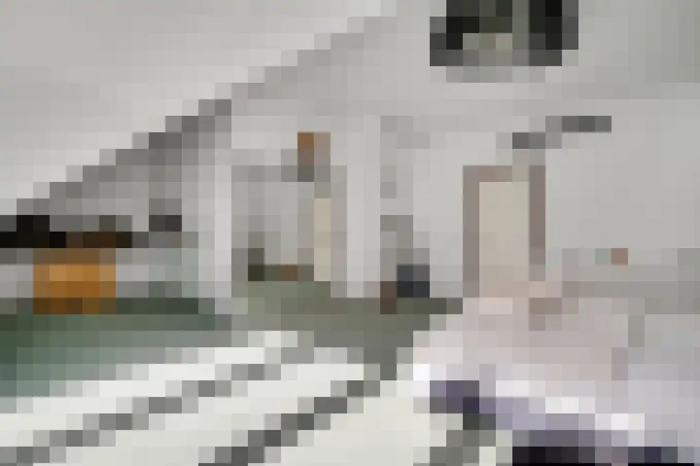 Tussen de Bruggen 85 Meerssen thumbnail 27