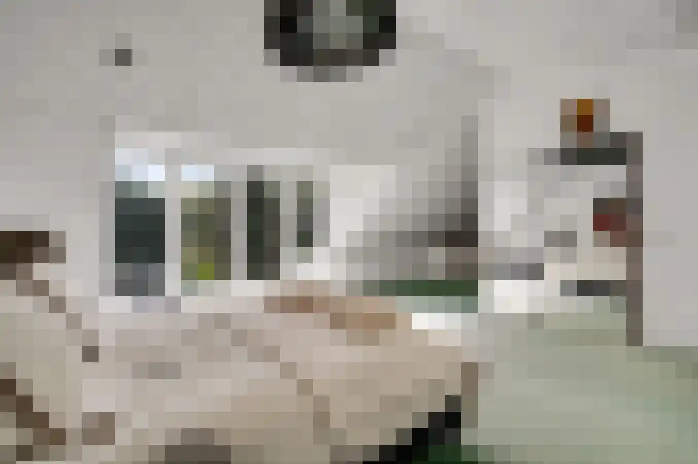 Tussen de Bruggen 85 Meerssen thumbnail 27