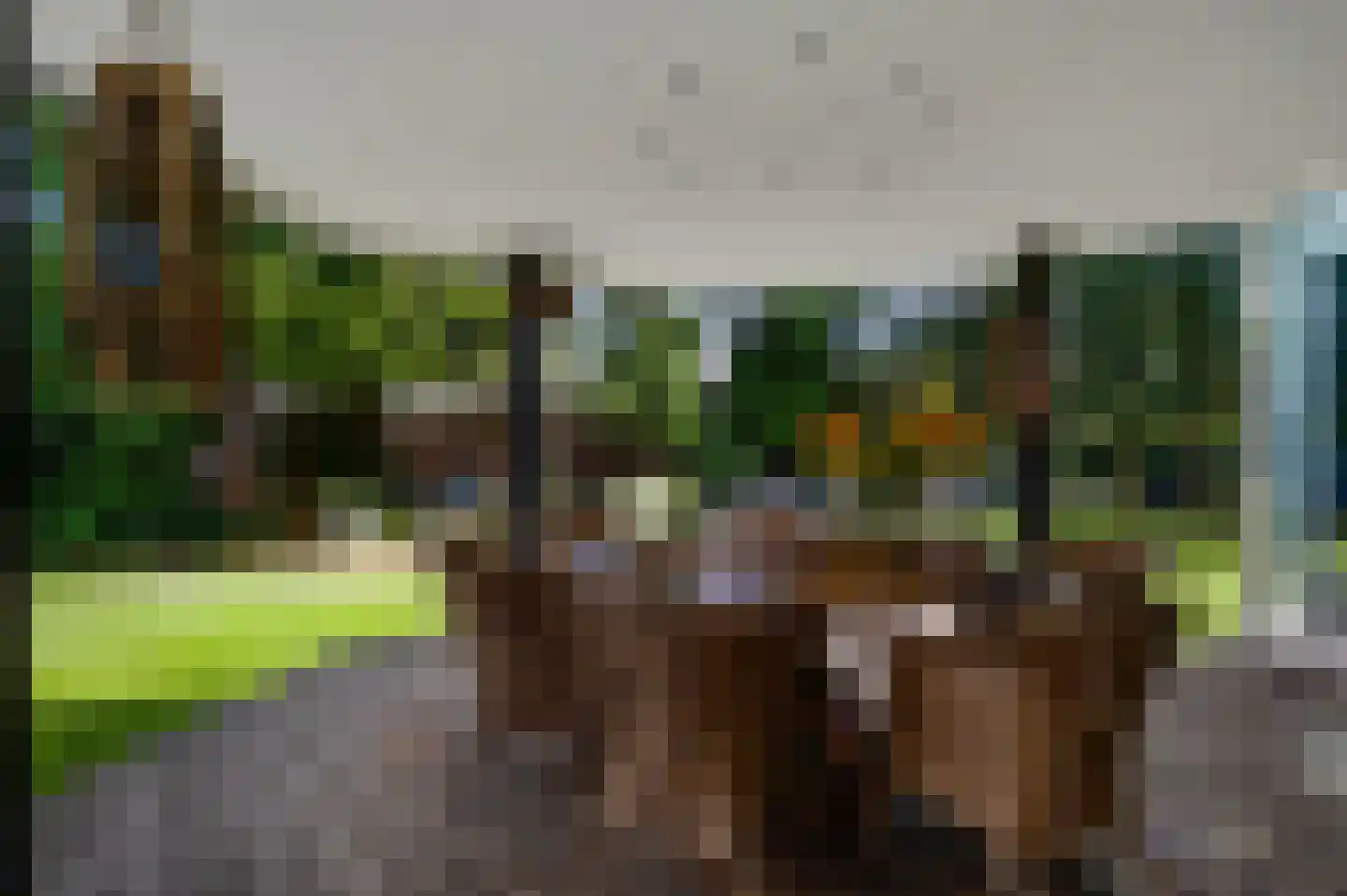 Tussen de Bruggen 85 Meerssen thumbnail 28