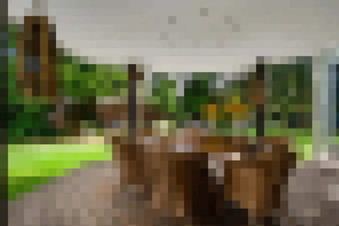 Tussen de Bruggen 85 Meerssen thumbnail 33