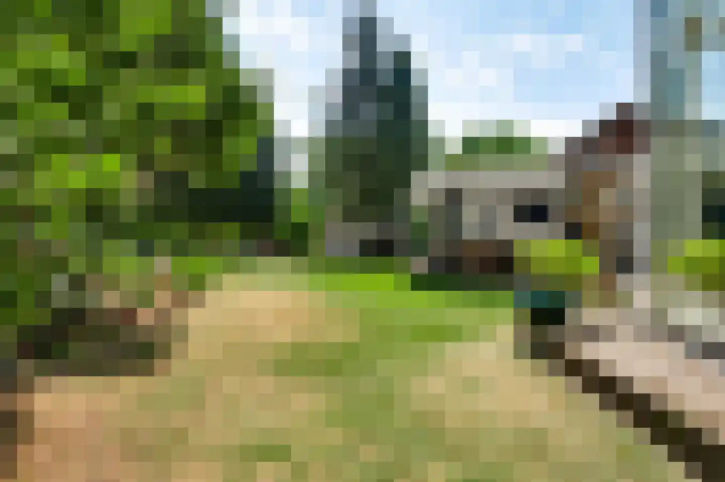 Tussen de Bruggen 85 Meerssen thumbnail 34