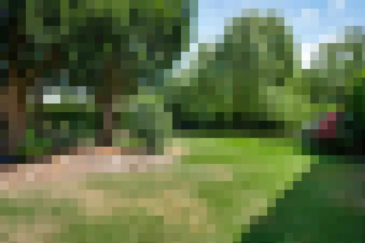 Tussen de Bruggen 85 Meerssen thumbnail 38
