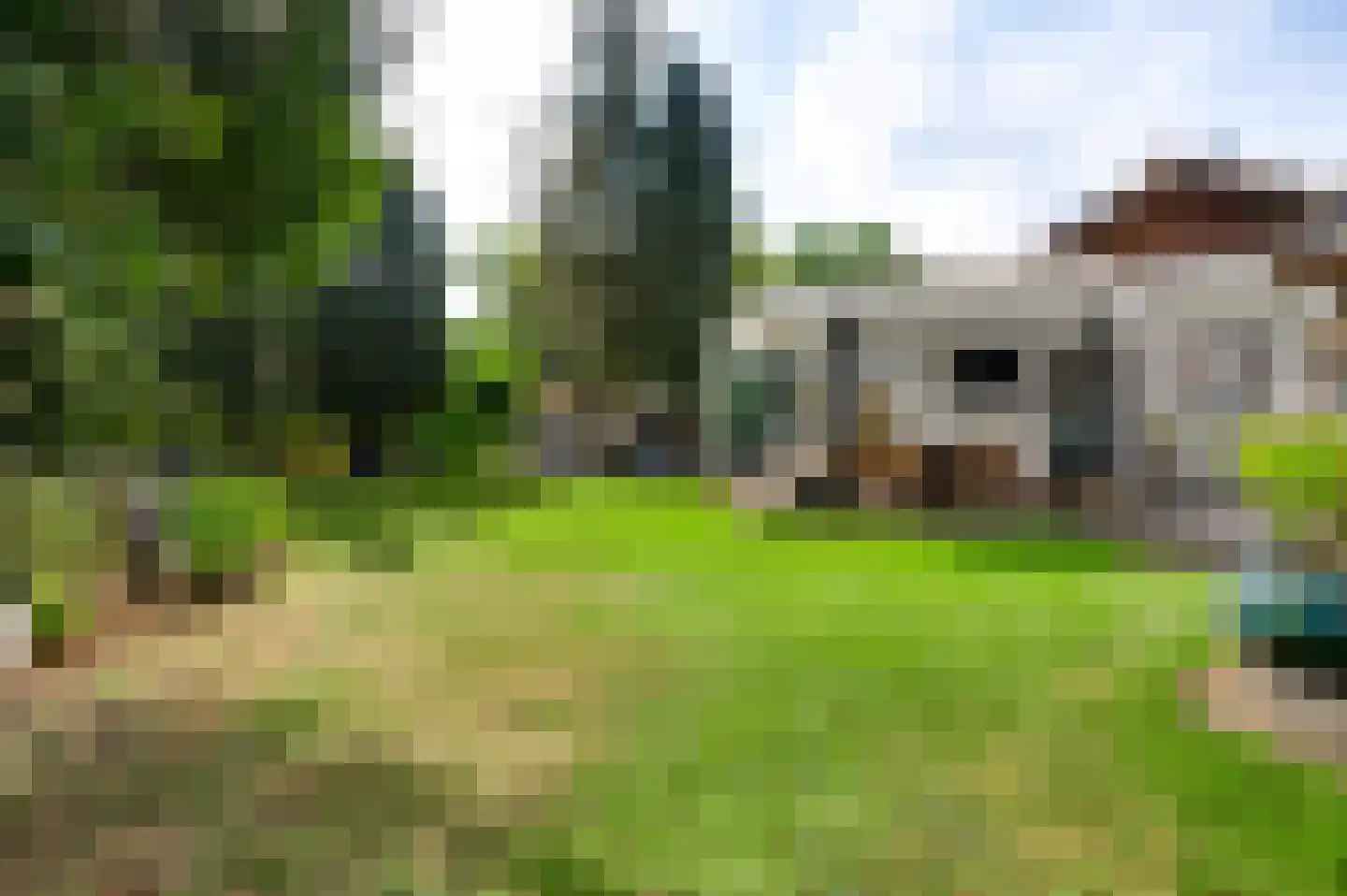 Tussen de Bruggen 85 Meerssen thumbnail 4